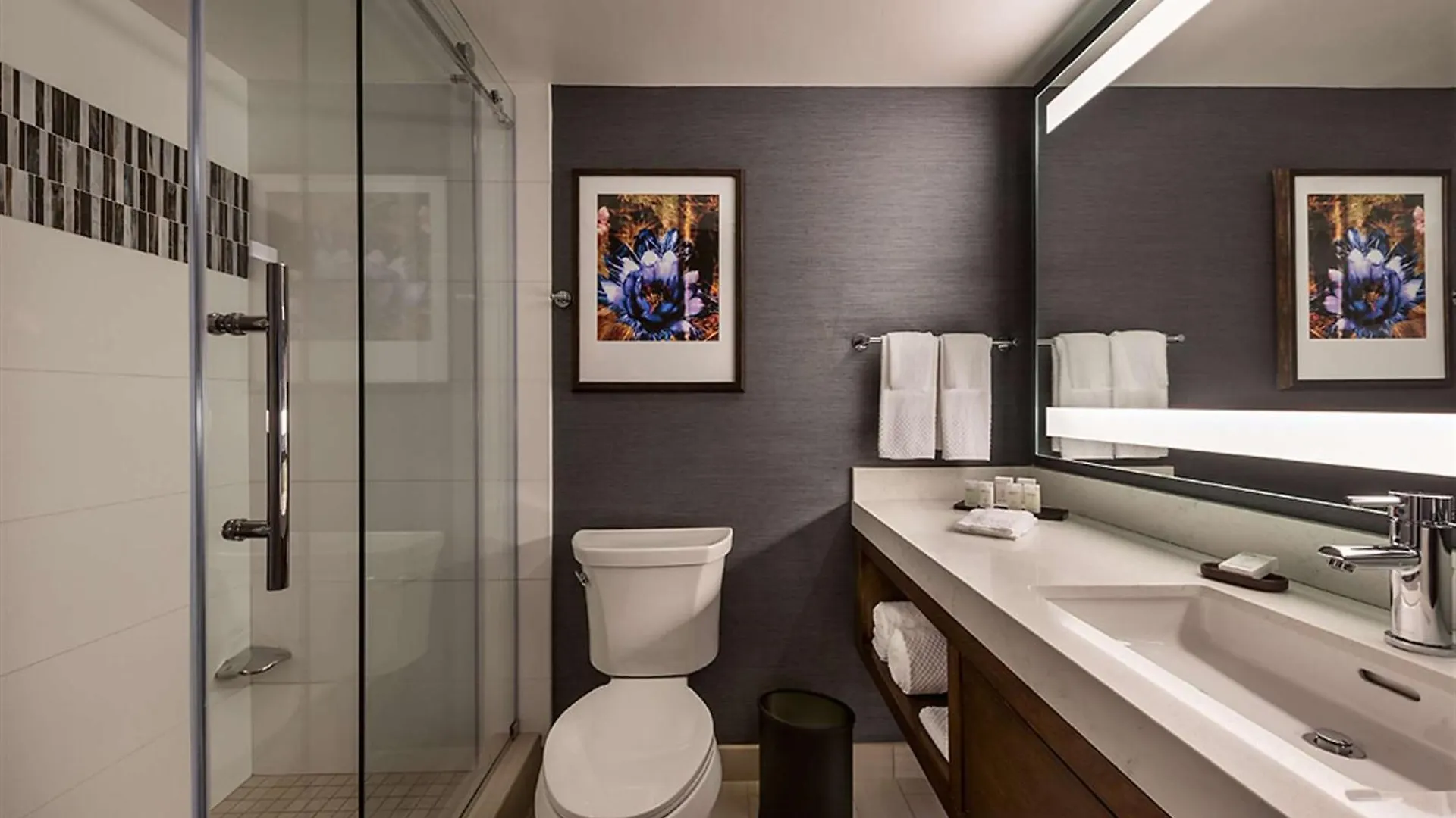 Embassy Suites By Hilton Scottsdale Resort